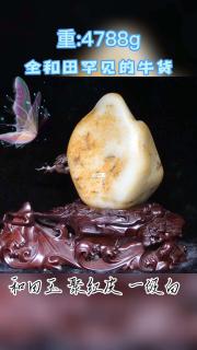 和田玉聚红皮老板说全和田罕见的牛货
