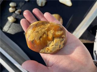 500万一公斤!壬寅虎年应景的和田玉籽料皮色原来是它